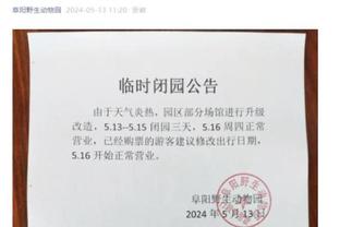 RAYBET官网下载截图2